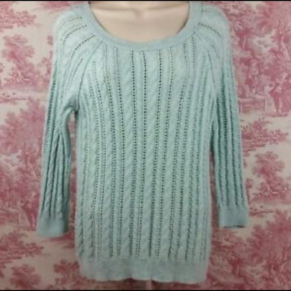 American Eagle mint green cable knit sweater